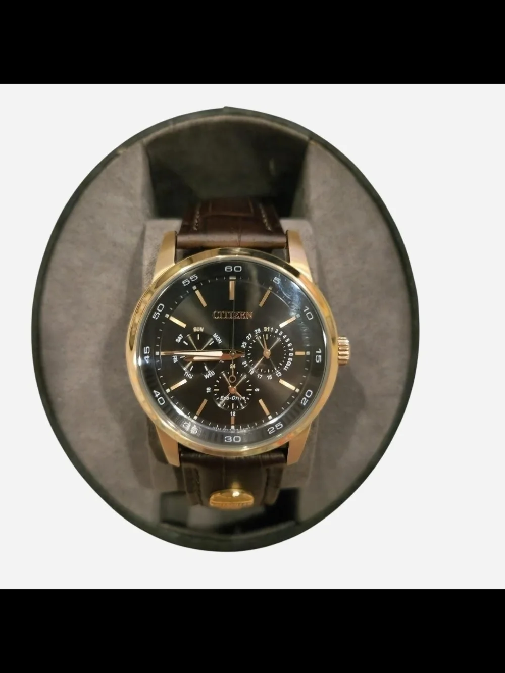 Citizen Eco-Drive Corso Men’s Watch - Gold & Leather - Model BU2013-08E